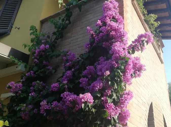 Casolare Isabella 
